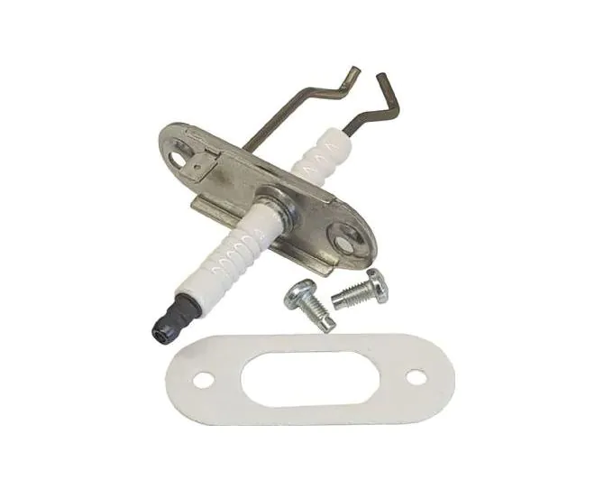 Vaillant 090709 Electrode main product photo