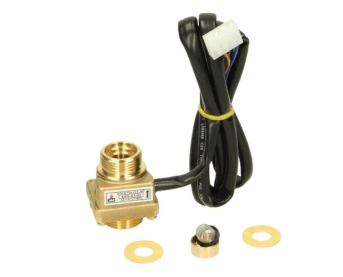 Worcester 87161114060 flow switch assembly main product photo