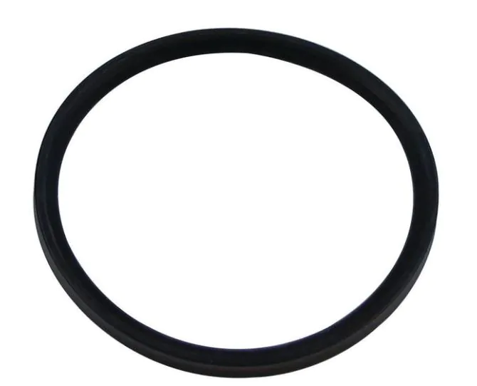 Worcester 87161116730 seal 100mm x 8mm main product photo