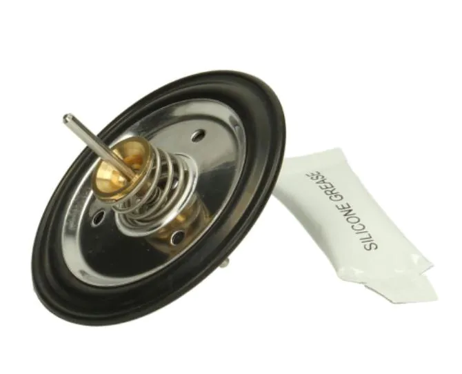 Worcester 87161405530 diaphragm replacement kit main product photo