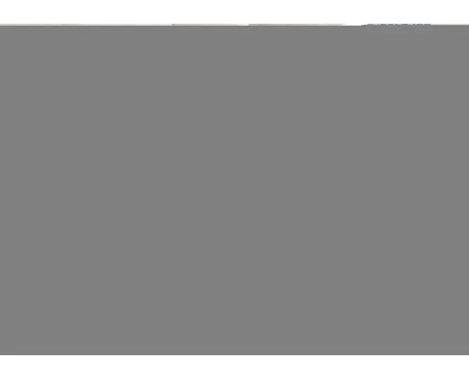Envy Element 1000mm Sliding Door - Black main product photo