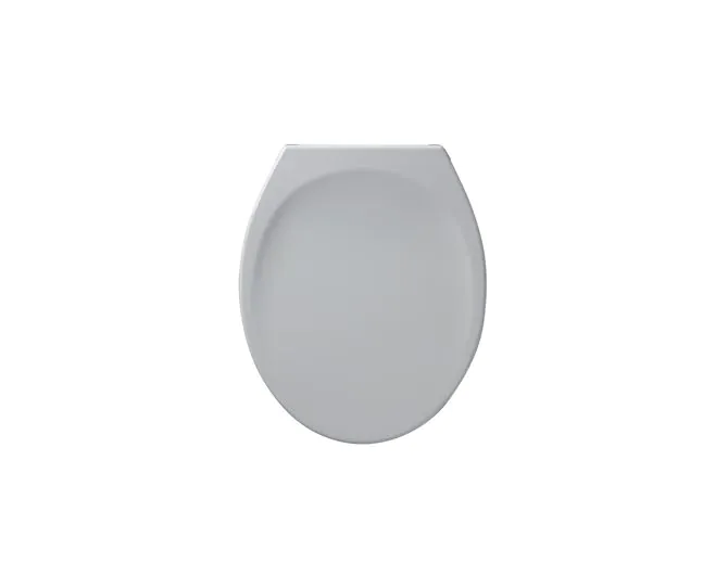 Armitage Shanks Astra Toilet Seat and Cover White (S405001) main product photo
