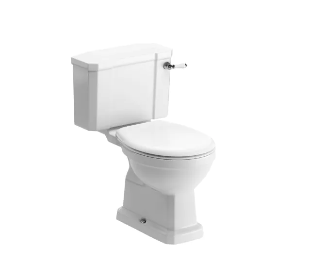 Vasca Vorrei Close Coupled WC & Soft Close Seat main product photo