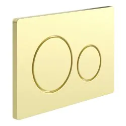 Vasca Round Push Button Flushplate - Brushed Brass