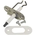 Vaillant 090709 Electrode - 0