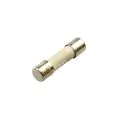 Potterton 160029 Fuse T2A 250V 20Mm - 0