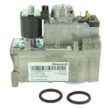 Ideal Gas Valve Assembly 170664  - 0