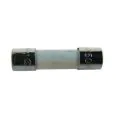 Worcester 19045213420 fusing element t2,5a (10x) - 0