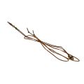 Main 5110886 Thermocouple - 1
