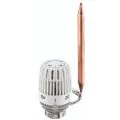 IMI 6402-00.500 Thermostatic Head & Sensor  - 0
