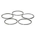 Remeha 720480101 Gasket For Burner (5 Pcs) - 0