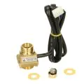 Worcester 87161114060 flow switch assembly - 0