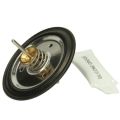 Worcester 87161405530 diaphragm replacement kit - 0