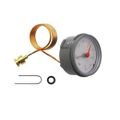 Worcester 87161423000 Pressure Guage 4 Bar Dark Grey - 1