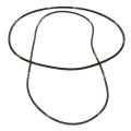 Heatrae Sadia 95611819 Gasket Steam Condensor - 0