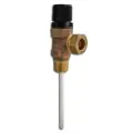 Ariston 969046 Temperature & Pressure Relief Valve - 0