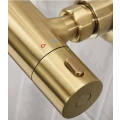 Bristan Buzz Thermostatic Bar Shower Brushed Brass BUZ SHXDIVCTFF BB - 2