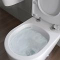 Vasca Milan Rimless Back To Wall WC & Soft Close Seat - 2