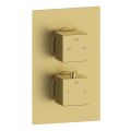 Vasca Cosmo Thermostatic Two Outlet Twin Shower Valve - Brushed Brass - 0