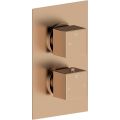 Vasca Cosmo Thermostatic Single Outlet Twin Shower Valve - Brushed Bronze - 0