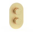 Vasca Urus Thermostatic Two Outlet Twin Shower Valve - Brushed Brass - 0