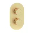 Vasca Urus Thermostatic Two Outlet Twin Shower Valve - Brushed Brass - 0