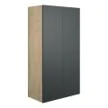 Vasca Liscio 600mm Standard 2 Door Storage Unit - Matt Graphite Grey (Oak Cab) - 0
