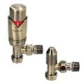 BiWorld Elegance Wave Antique Brass TRV & Lockshield Twin Pack EV-E15TPAB - 0