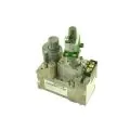 Ravenheat 5012006 Natural Gas Valve - 0
