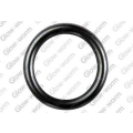 Glowworm 0020020711 Washer - 0
