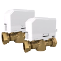Drayton 22mm 2-Port Valve Twin Pack P27100 - 0