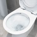 Vasca Figura Rimless Back To Wall WC & Soft Close Seat - 1