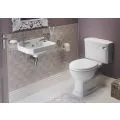 Vasca Vorrei Close Coupled WC & Satin White Wood Effect Seat w/Br.Brass Finishes - 2