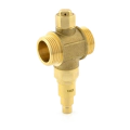 Inta Anti-Freeze Valve 1 Inch Male ZERO001 - 0