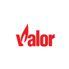 VALOR INJECTOR 0545199 (CLEARANCE 2 LEFT)