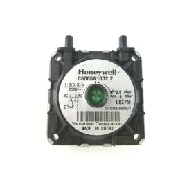 Halstead 500571 Pressure Switch 30 - 60 TO LW36606A9901