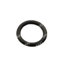 Baxi 248018 O-Ring