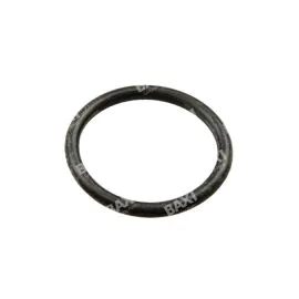 Baxi 248019 O-Ring