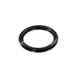Baxi 248021 O'Ring