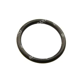 Potterton 401648 O Ring 21.5 X 2.4 Dia.