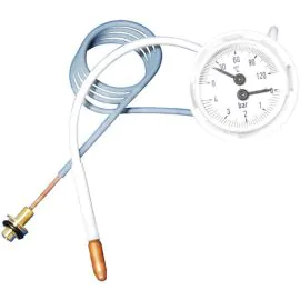 Biasi BI1475108 Temperature Pressure Guage