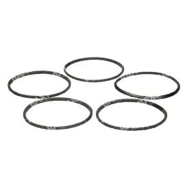 Remeha 720480101 Gasket For Burner (5 Pcs)