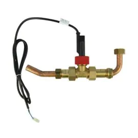 Worcester 87161020390 Flow Switch Assy