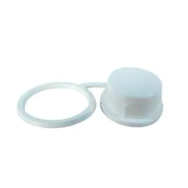 Worcester 87161112530 plug