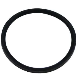 Worcester 87161116730 seal 100mm x 8mm
