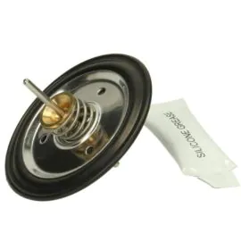 Worcester 87161405530 diaphragm replacement kit