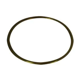 Worcester O-Ring Body To Cover 87186863290