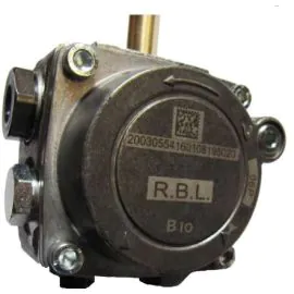 Worcester 87186893420 RDB Pump (20030953)