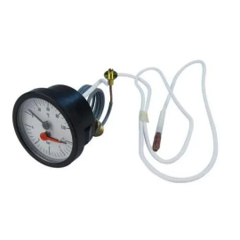 Biasi BI1105500 Temperature Pressure Guage