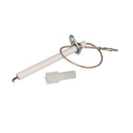 Biasi Detection Electrode BI1313104